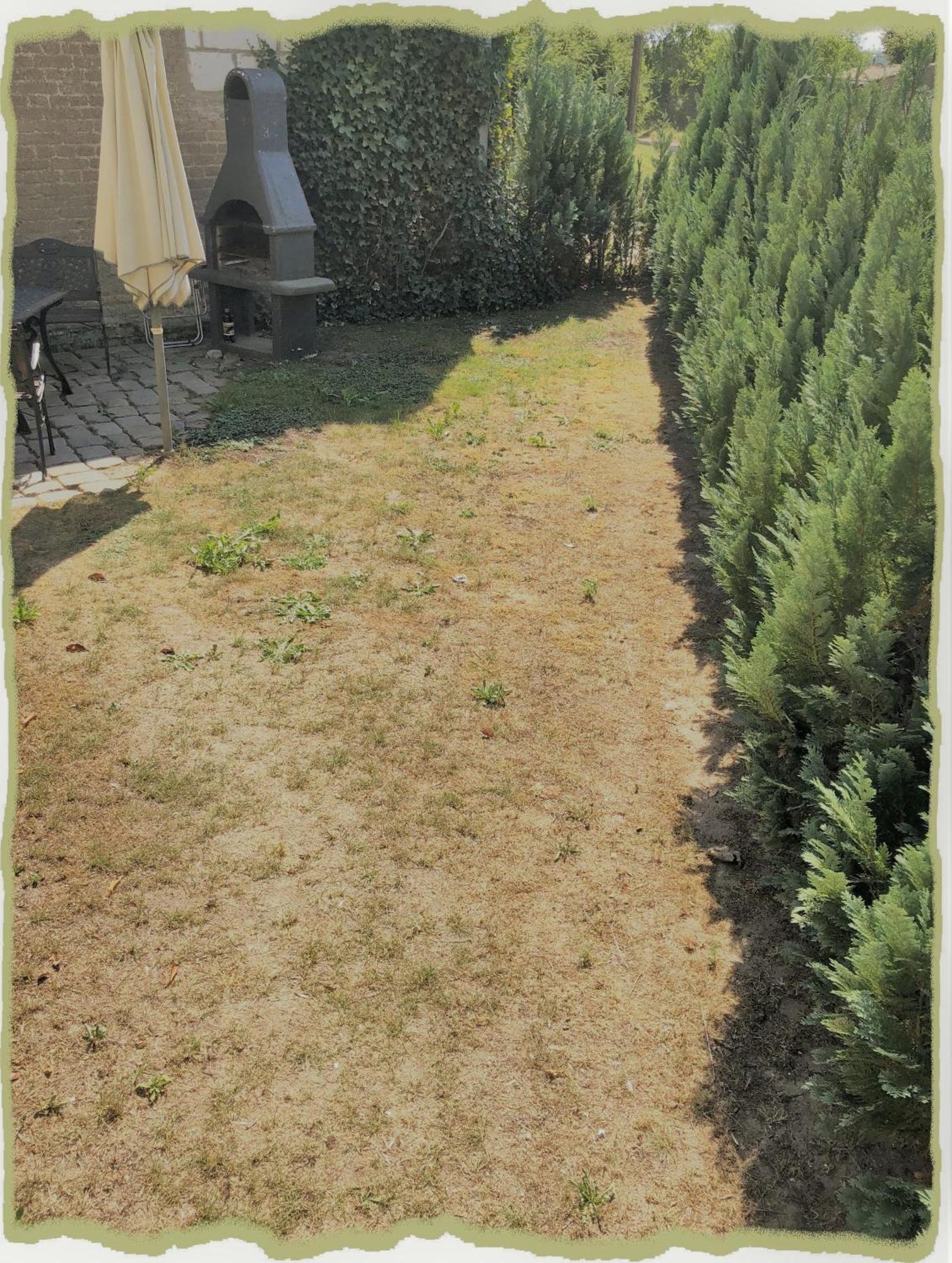 דירות Lindenberg  Ferienwohung Zum Bernerhof מראה חיצוני תמונה